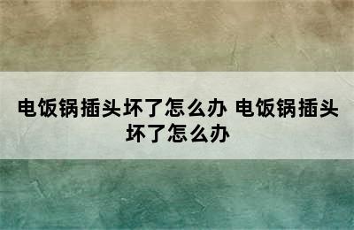 电饭锅插头坏了怎么办 电饭锅插头坏了怎么办